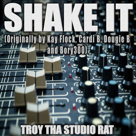 Shake It (Originally Performed by Kay Flock, Cardi B, Dougie B and Bory300) (Instrumental)