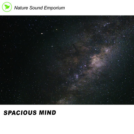 Spacious Mind