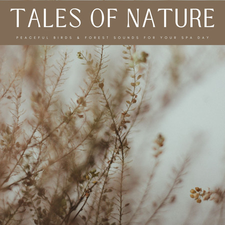 Tales Of Nature: Peaceful Birds & Forest Sounds For Your Spa Day