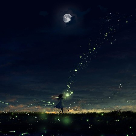 夜、螢火蟲和你