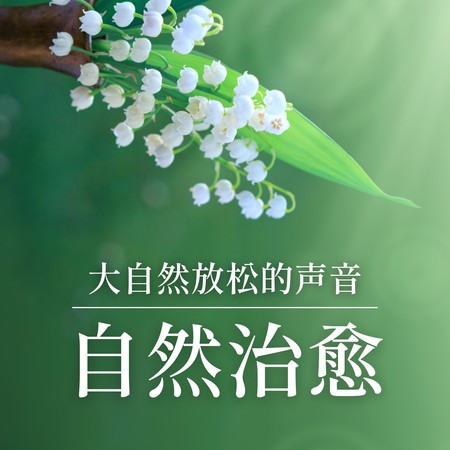 治療靈魂和健康