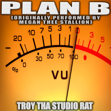 Plan B (Originally Performed by Megan Thee Stallion) (Karaoke)