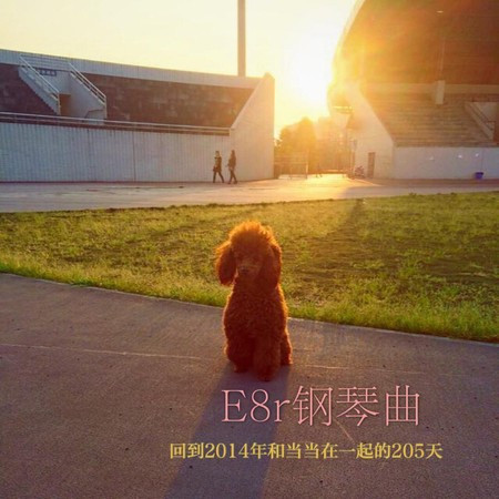 《E8r即兴曲》回到2014年和当当在一起的205天