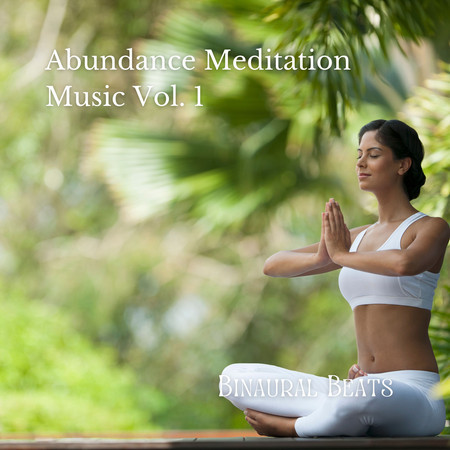 Binaural Beats: Abundance Meditation Music Vol. 1