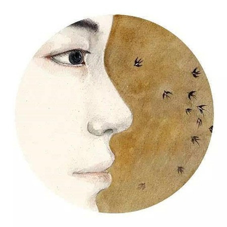 我聽了一世梵唱，不為參悟，只為尋你的一絲氣息