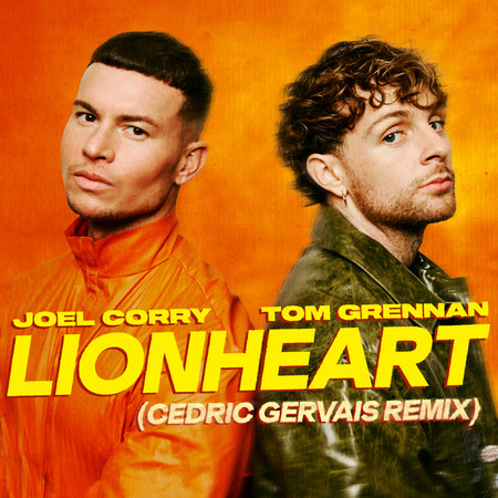 Lionheart (Cedric Gervais Remix)