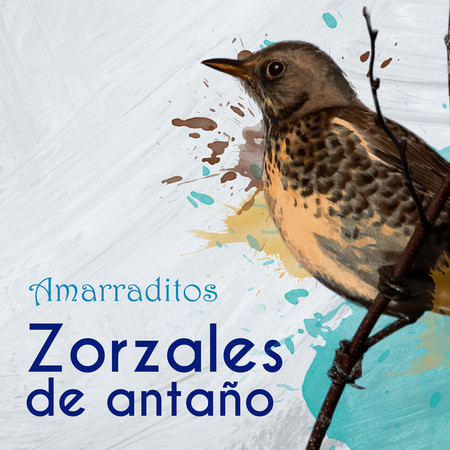 Zorzales de Antaño / Amarraditos