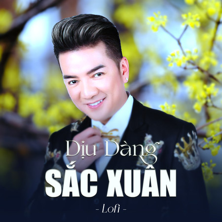 Dịu Dàng Sắc Xuân (lofi)