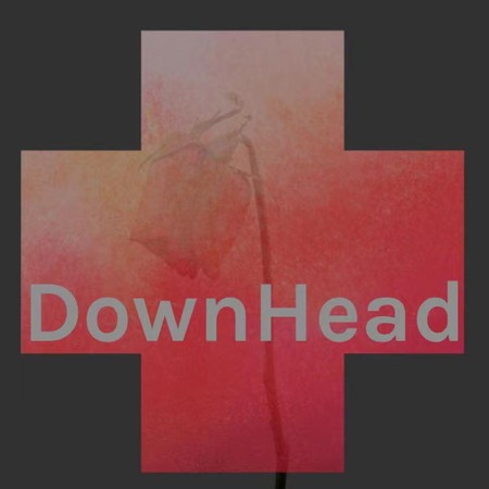DownHead 專輯封面