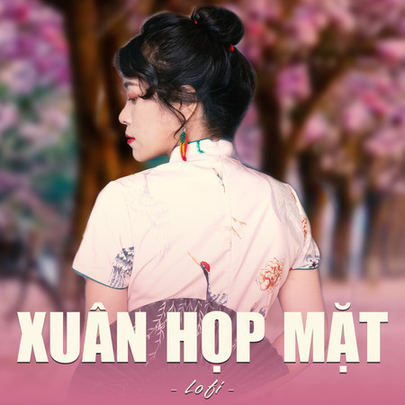 Xuân Họp Mặt (lofi)
