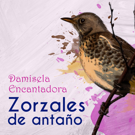 Zorzales de Antaño / Damisela Encantadora