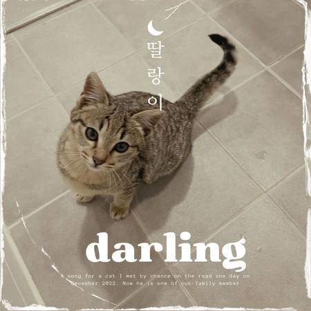 Darling Song (INSTRUMENTAL)