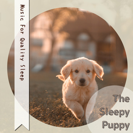 Music For Quality Sleep