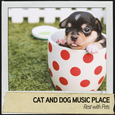 Cat and Dog Music Place: Rest with Pets