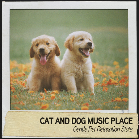 Cat and Dog Music Place: Gentle Pet Relaxation State