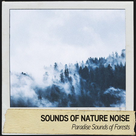 Sounds of Nature Noise: Paradise Sounds of Forests