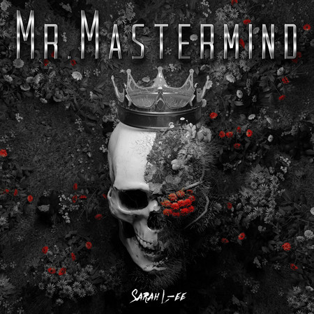 Mr.Mastermind