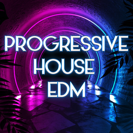 Progressive House EDM