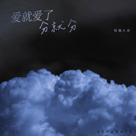 爱就爱了分就分