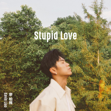 Stupid Love 專輯封面