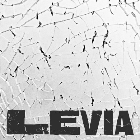 Levia (feat. 鳳小岳) 專輯封面