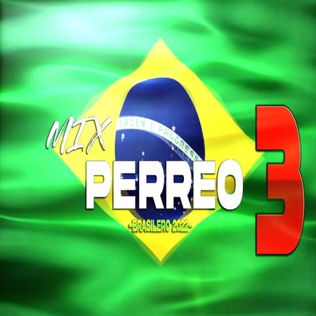 MIX PERREO BRASILEÑO 2022 #3 - Lo mejor del remix♫ Dj L30