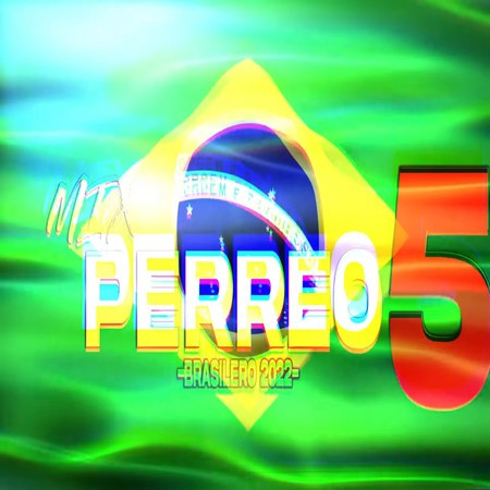 MIX PERREO BRASILEÑO 2022 #5 - Lo mejor del remix♫ Dj L30