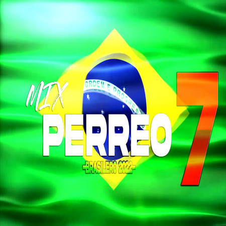 MIX PERREO BRASILEÑO 2022 #7 - Lo mejor del remix♫ Dj L30