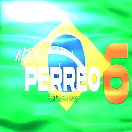 MIX PERREO BRASILEÑO 2022 #6 - Lo mejor del remix♫ Dj L30
