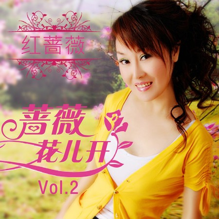 蔷薇花儿开, Vol. 2