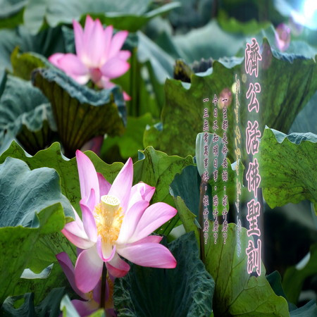 奕睆數位佛曲系列 (8): 濟公活佛聖訓