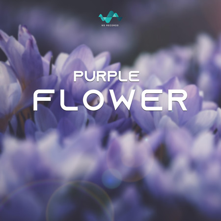 Purpleflower