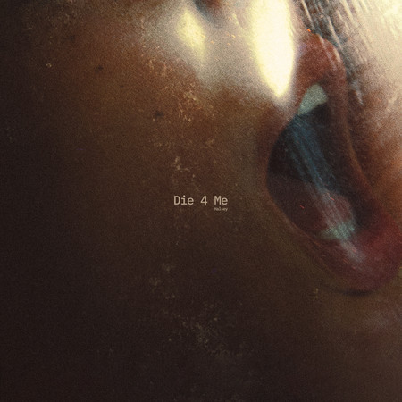 Die 4 Me 專輯封面