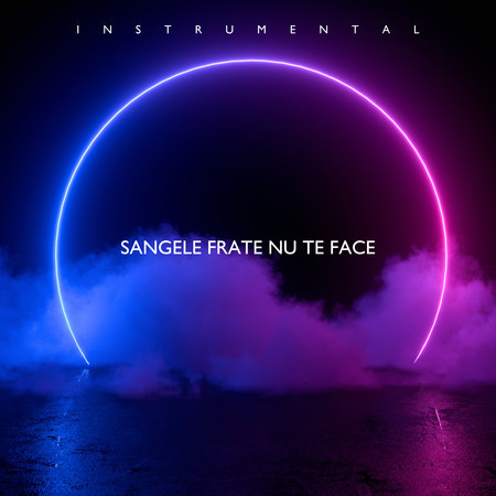 Sangele Frate Un Te Face (Instrumental) 專輯封面