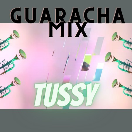 TUSSY (GUARACHA MIX) DJ NESTOR