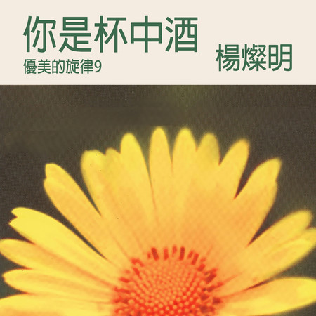 你是杯中酒（優美的旋律9）