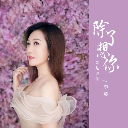 除了想你就是哭泣