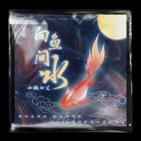 向魚問水（DJ名龍版）