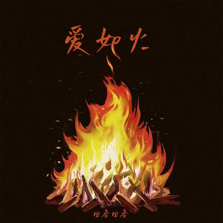 愛如火 (激情男版) 專輯封面