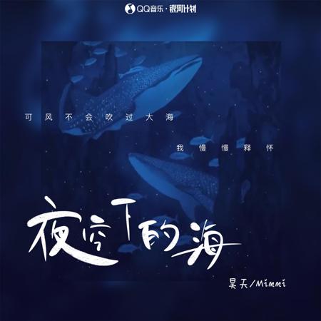 夜空下的海