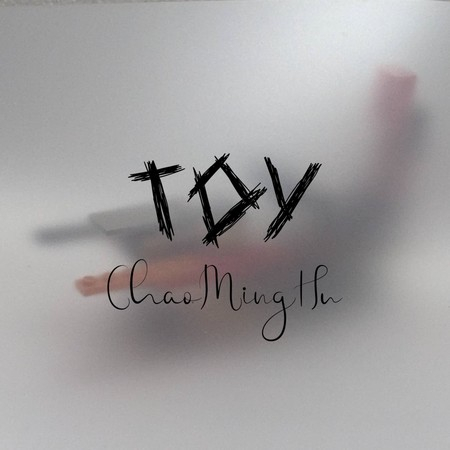 Toy