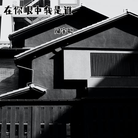 在你眼中我是誰