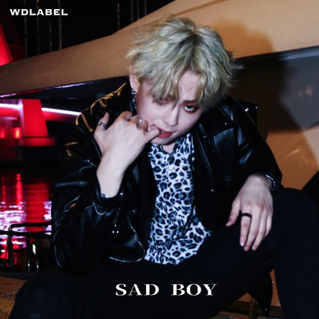 SAD BOY