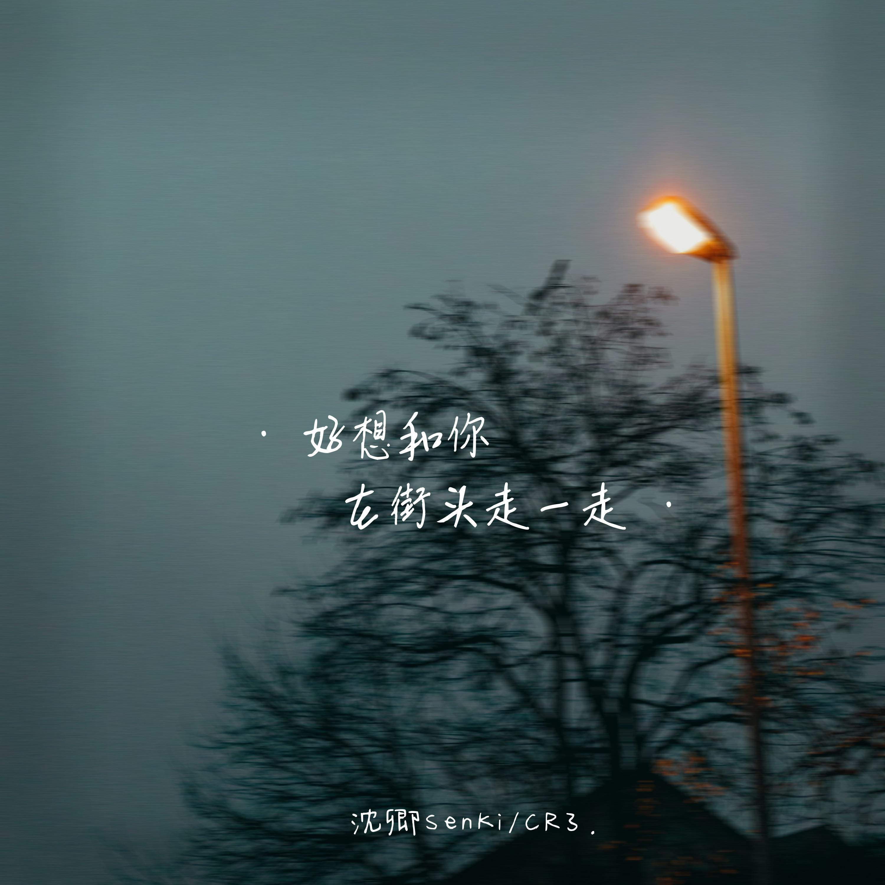 好想和你在街頭走一走