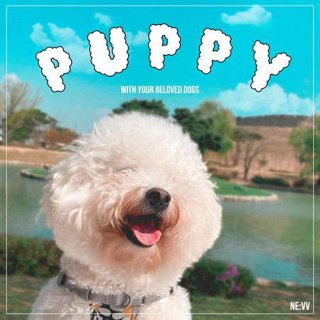 Puppy