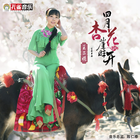 四月杏花崖畔開