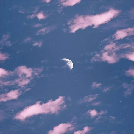 白噪音森系搖籃曲（八音盒）