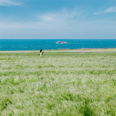 白噪音助眠雨聲（胎教音樂）