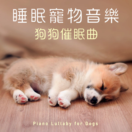 睡眠寵物音樂 狗狗深度放鬆 鋼琴催眠曲 (Piano Lullaby for Dogs)