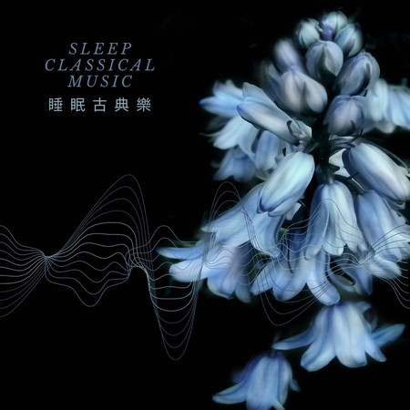 大提琴獨白 睡眠古典音樂花房